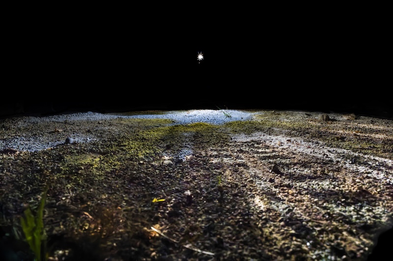 穴の大きさによって変化する風景 2024 作品1