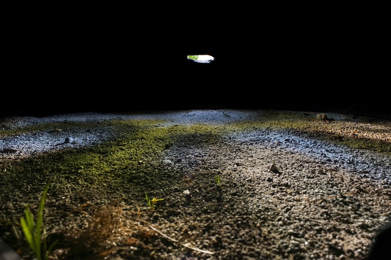 穴の大きさによって変化する風景 2024 作品2