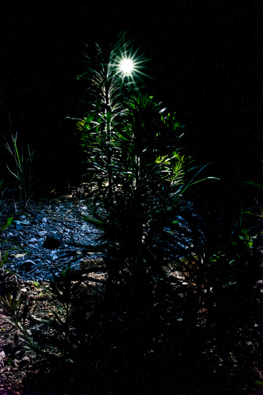 THE MOST BEAUTIFUL LIGHT NEXT TO THE DARK 2014 作品3