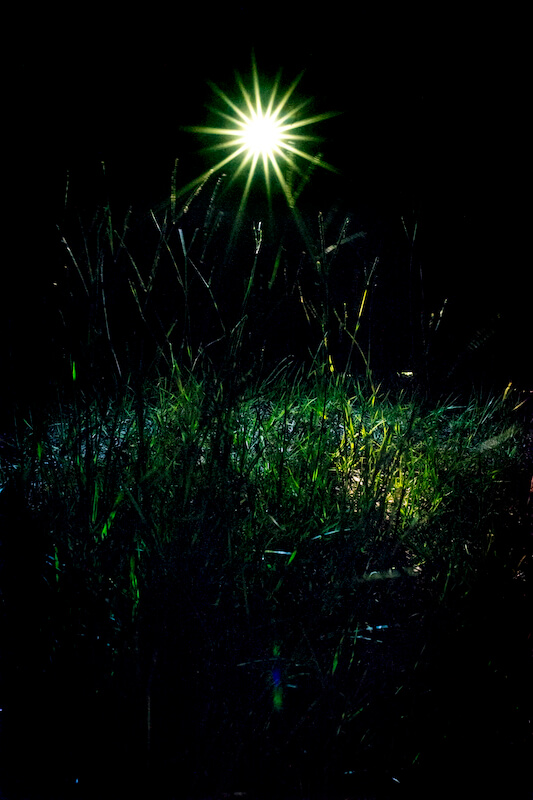 THE MOST BEAUTIFUL LIGHT NEXT TO THE DARK 2014 作品4