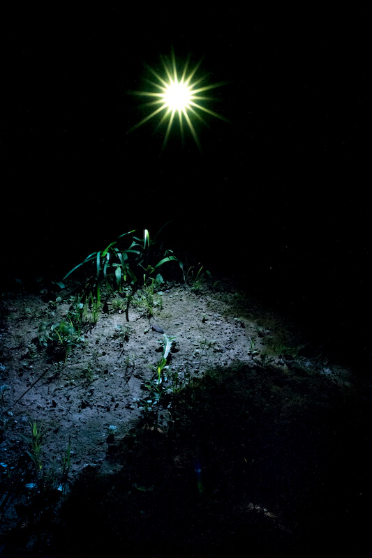 THE MOST BEAUTIFUL LIGHT NEXT TO THE DARK 2014 作品5