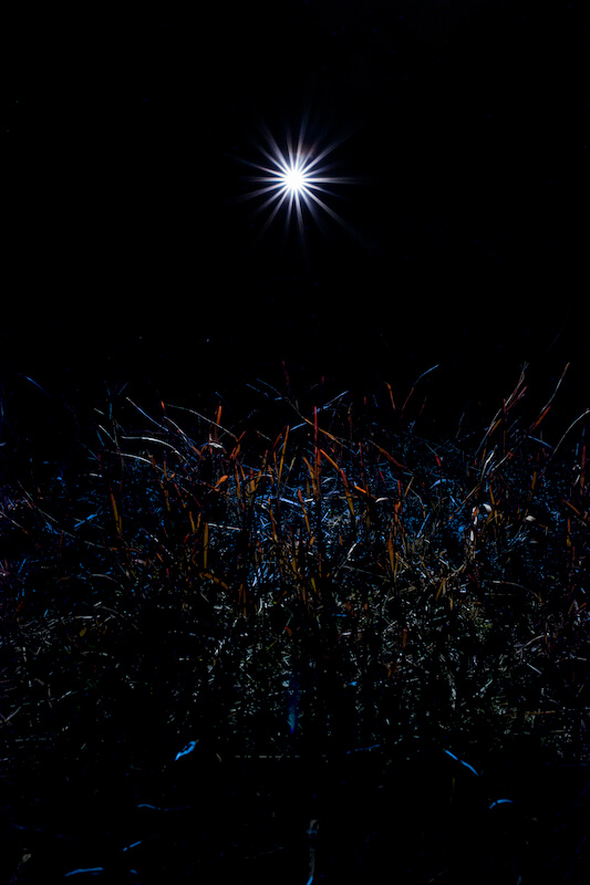 THE MOST BEAUTIFUL LIGHT NEXT TO THE DARK 2014 作品10
