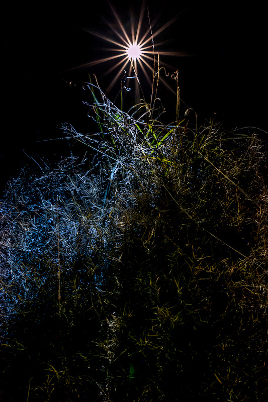 THE MOST BEAUTIFUL LIGHT NEXT TO THE DARK 2014 作品14