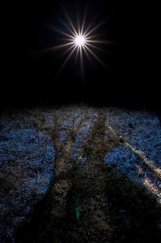 THE MOST BEAUTIFUL LIGHT NEXT TO THE DARK 2014 作品16