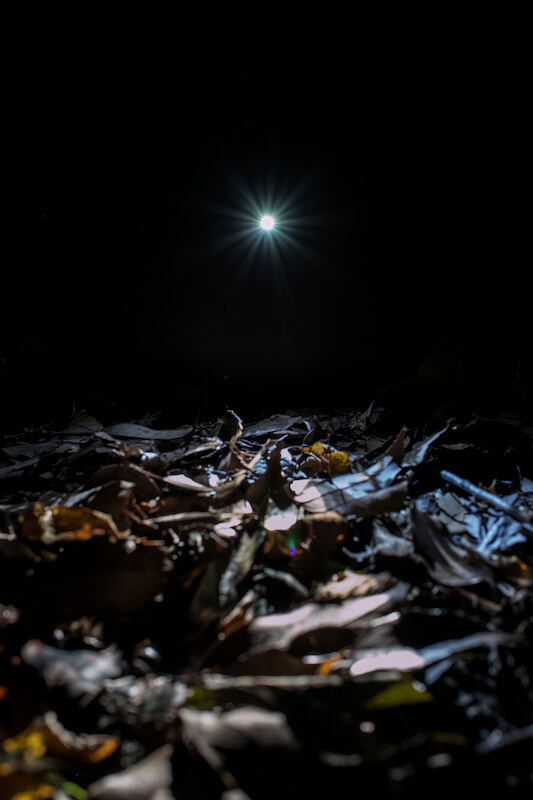 THE MOST BEAUTIFUL LIGHT NEXT TO THE DARK 2014 作品23