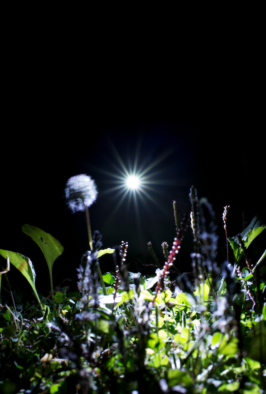 THE MOST BEAUTIFUL LIGHT NEXT TO THE DARK 2014 作品24