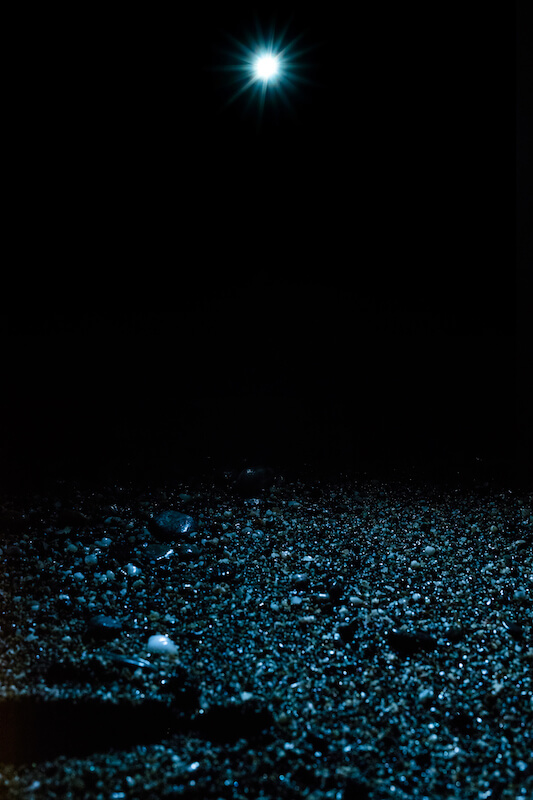 umi, 2018, artwork image 1